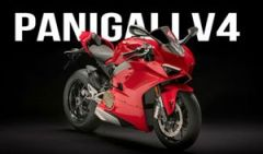 panigali-v4.png